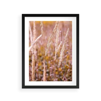 Plakat w ramie 50x70 - Sucha Trawa w Sierpniu - trawy, łąka - rama czarna