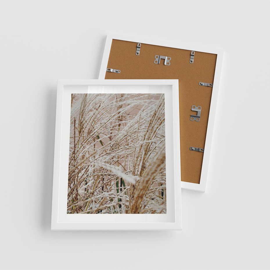 Plakat w ramie 40x50 - Beżowa Trawa - suche trawy, zbliżenie - rama biała