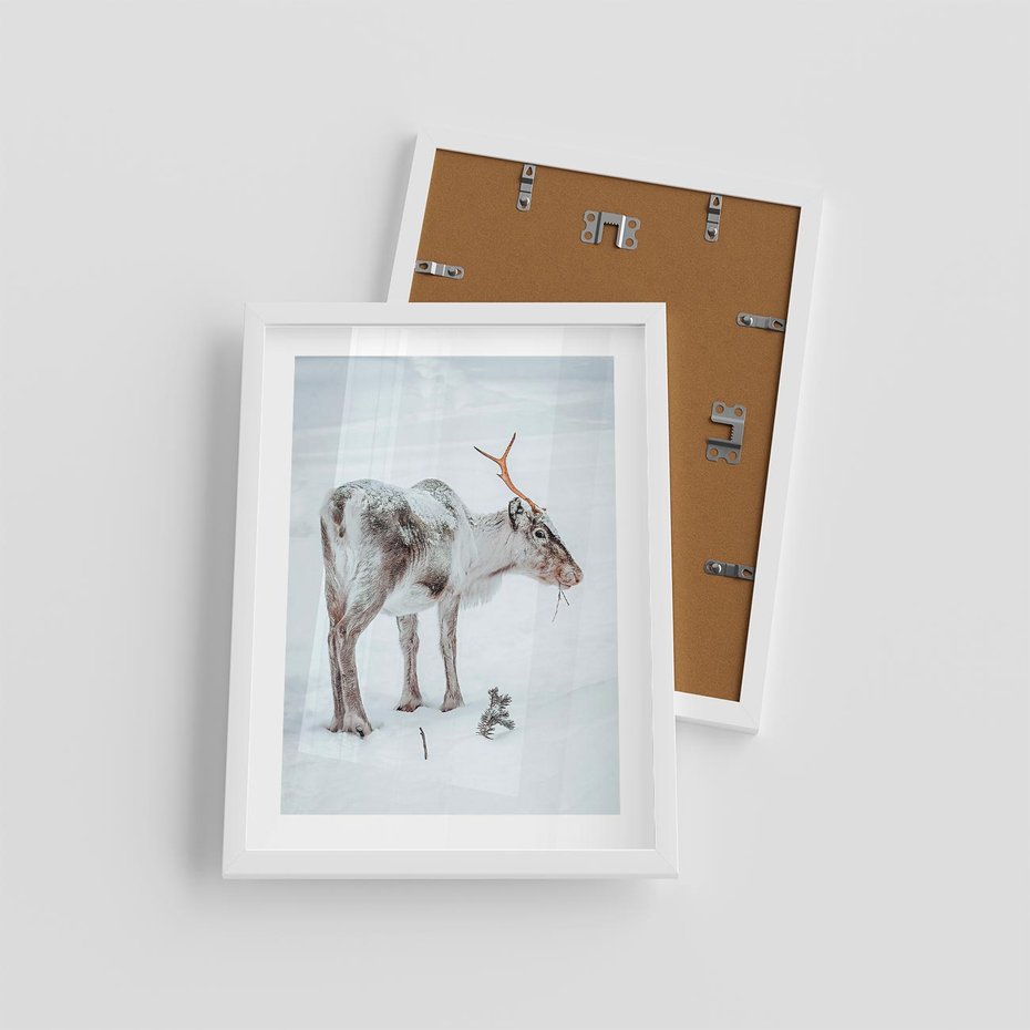 Plakat w ramie 30x40 - Magia Świąt - renifer na śniegu, śnieg - rama biała