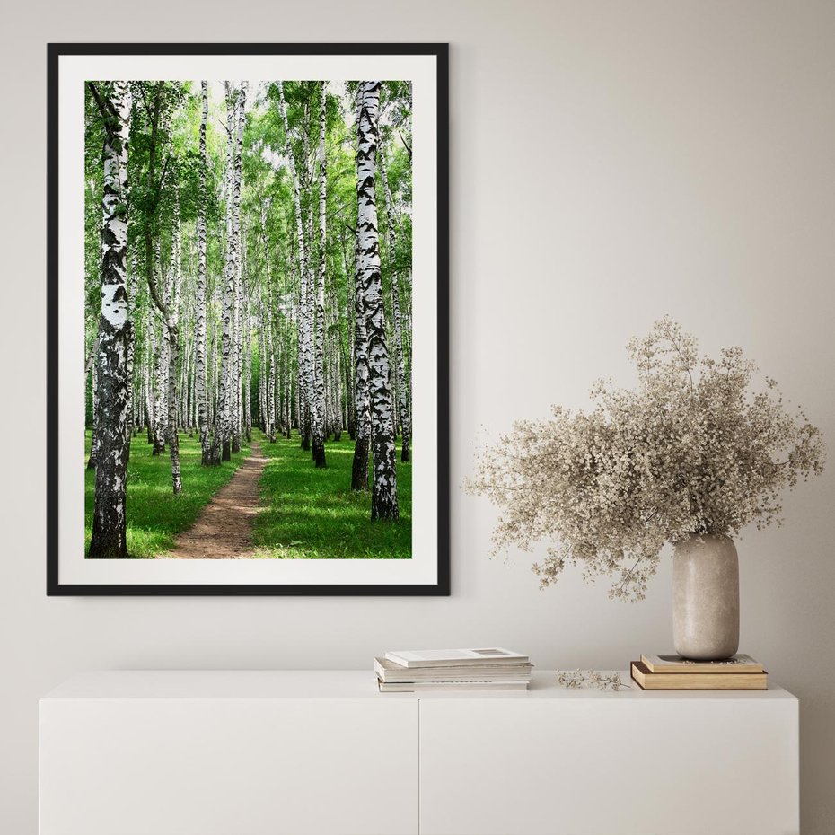 Plakat bez ramy 40x50 - Magia lasu pełnego brzóz - las, brzozy