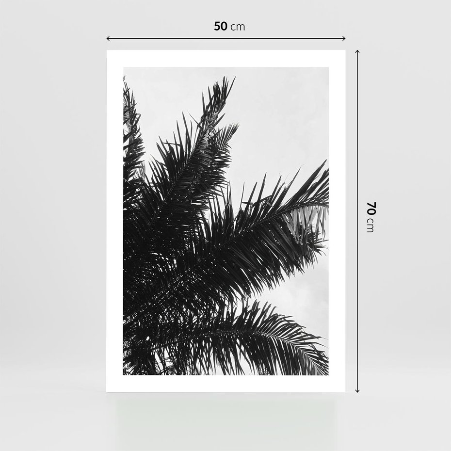 Plakat bez ramy 50x70 - Czas Zapomnienia - palmy, czarno biała fotografia