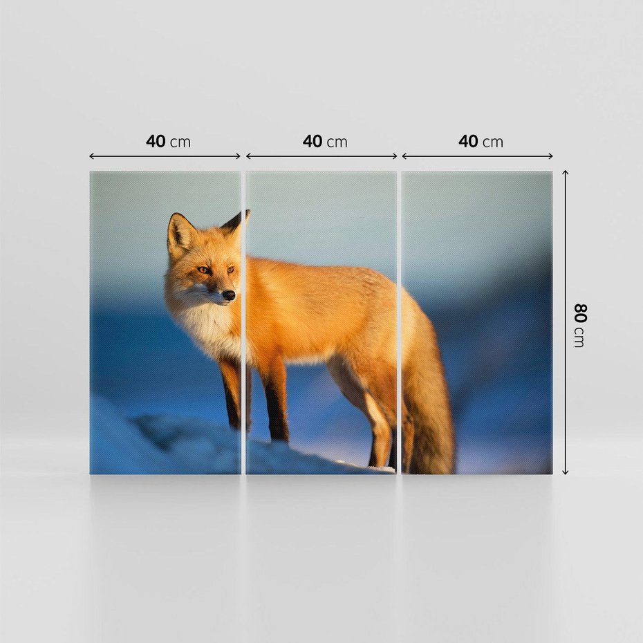 Obraz na płótnie 120x80 - Lisek w lesie - lis, lisek