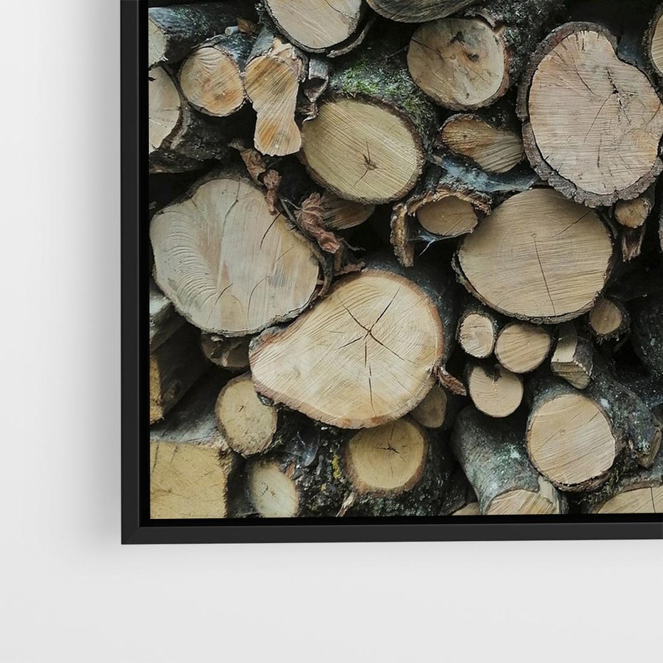 Obraz w ramie 50x50 - Bliskość Natury - drewno, las - rama czarna