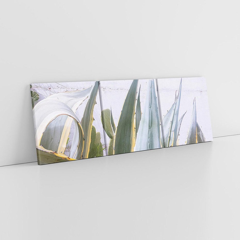 Obraz na płótnie 120x40 - Sukulentowe liście - liście, sukulenty