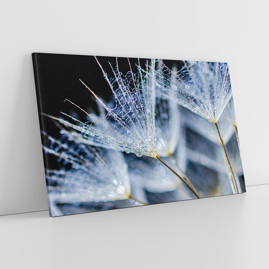 Obraz na płótnie 120x80 - Makro piękno dmuchawców - makro, dmuchawce