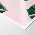 Plakat bez ramy 40x50 - Minimalizm Natury - minimalizm, liście monstery