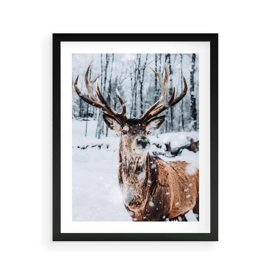 Plakat w ramie 40x50 - Jeleń na Zdjęciu pod Śniegiem - jeleń, zima - rama czarna