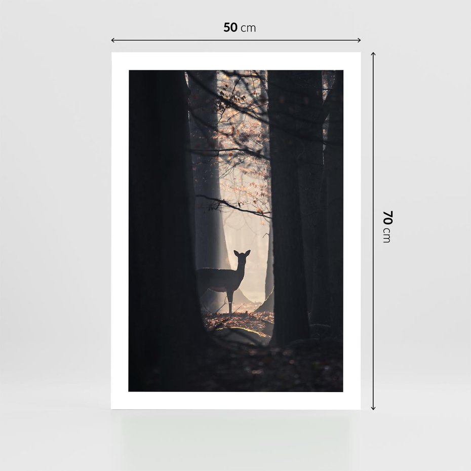 Plakat bez ramy 50x70 - Sarnie Skoki - zdjęcie, klimatyczny las