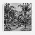 Obraz w ramie 80x80 - Mroczna Ścieżka Tropików - czarno biała fotografia, ścieżka pośród palm - rama biała