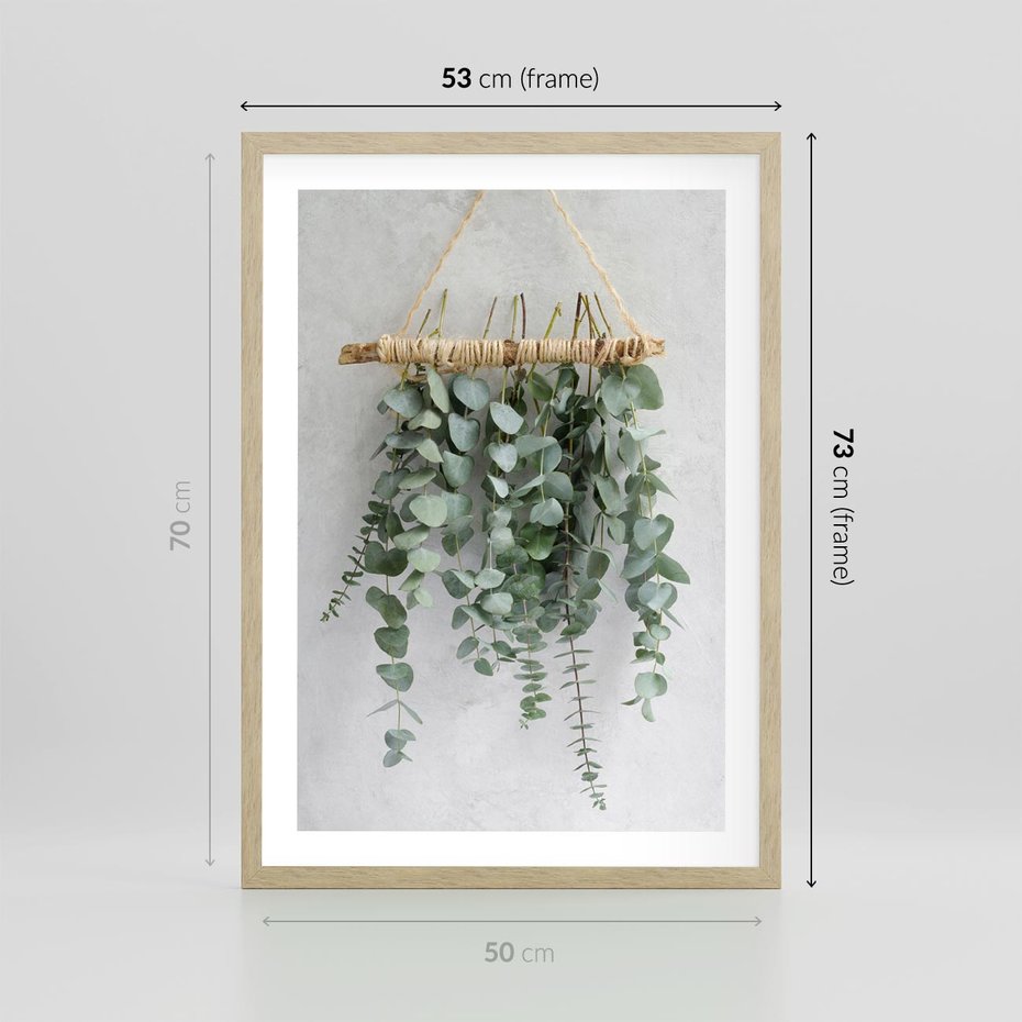 Plakat w ramie 50x70 - Uwodzicielska zieleń eukaliptusa - eukaliptus, zielone - rama drewno