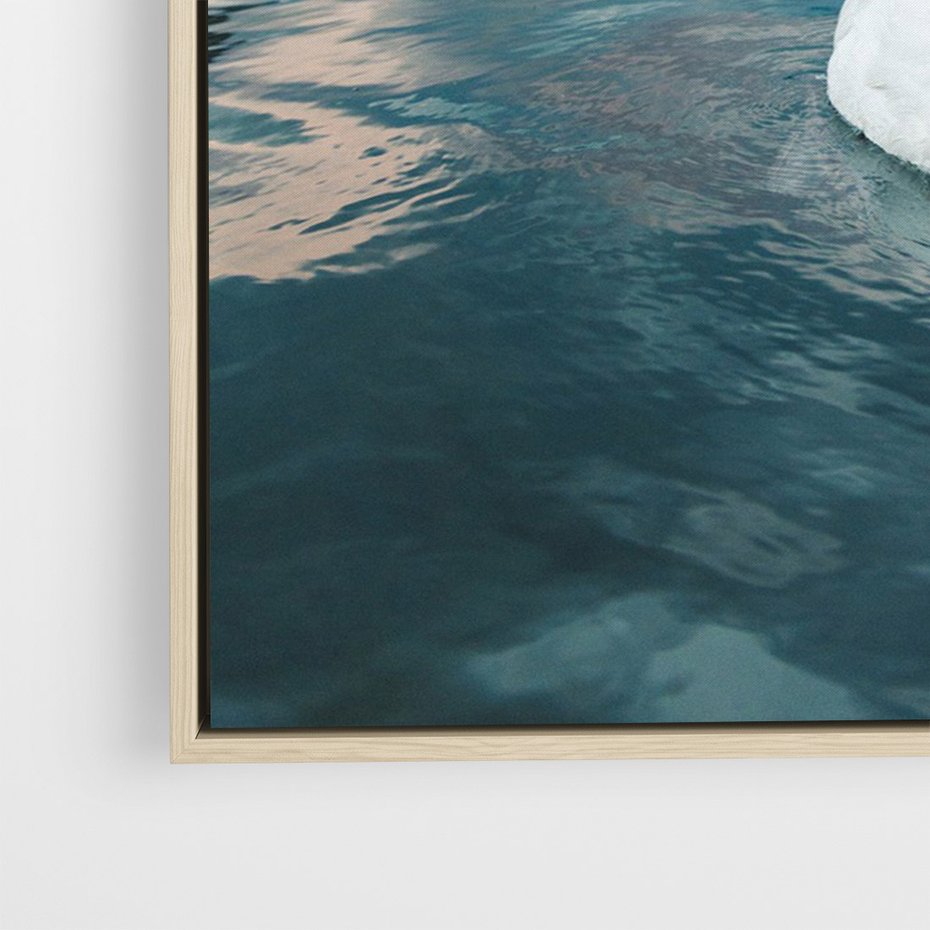 Obraz w ramie 50x70 - Łabędzi Śpiew - fotografia, plakat - rama drewno