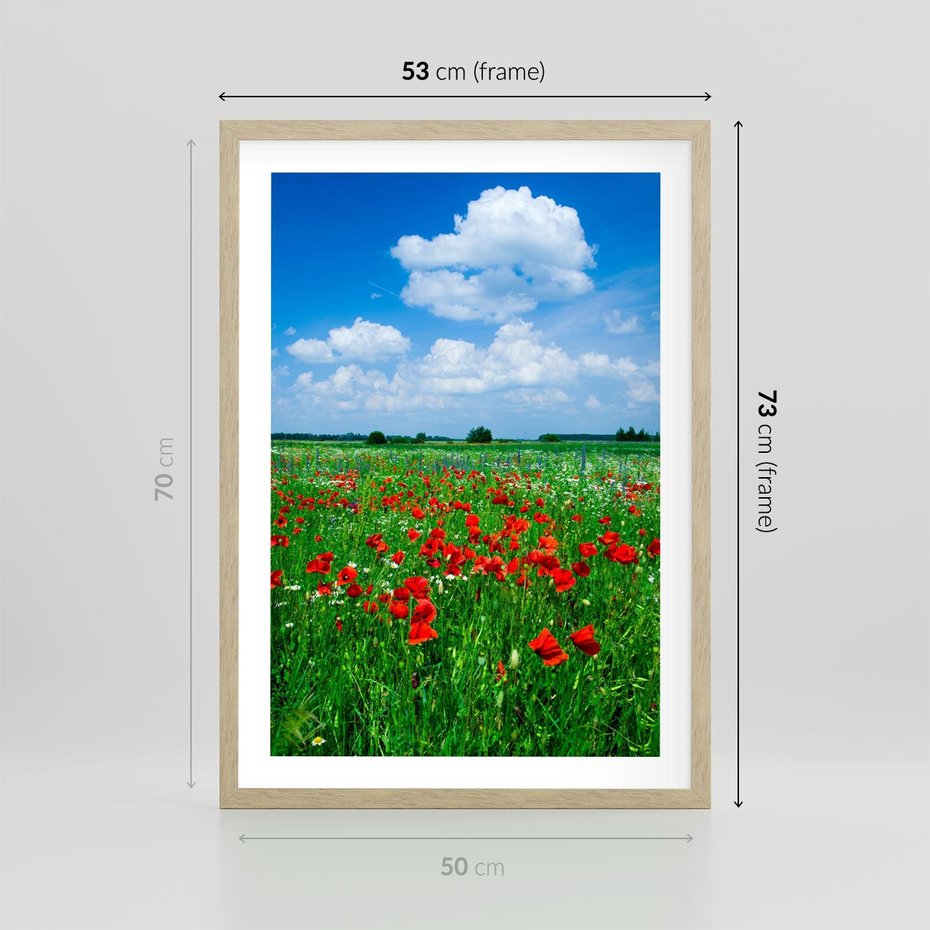 Plakat w ramie 50x70 - Kolorowa łąka pełna maku - łąka, maki - rama drewno