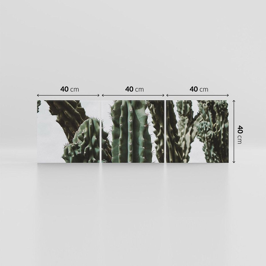 Obraz na płótnie 120x40 - Boho oaza wśród kaktusów - kaktusy, pustynia