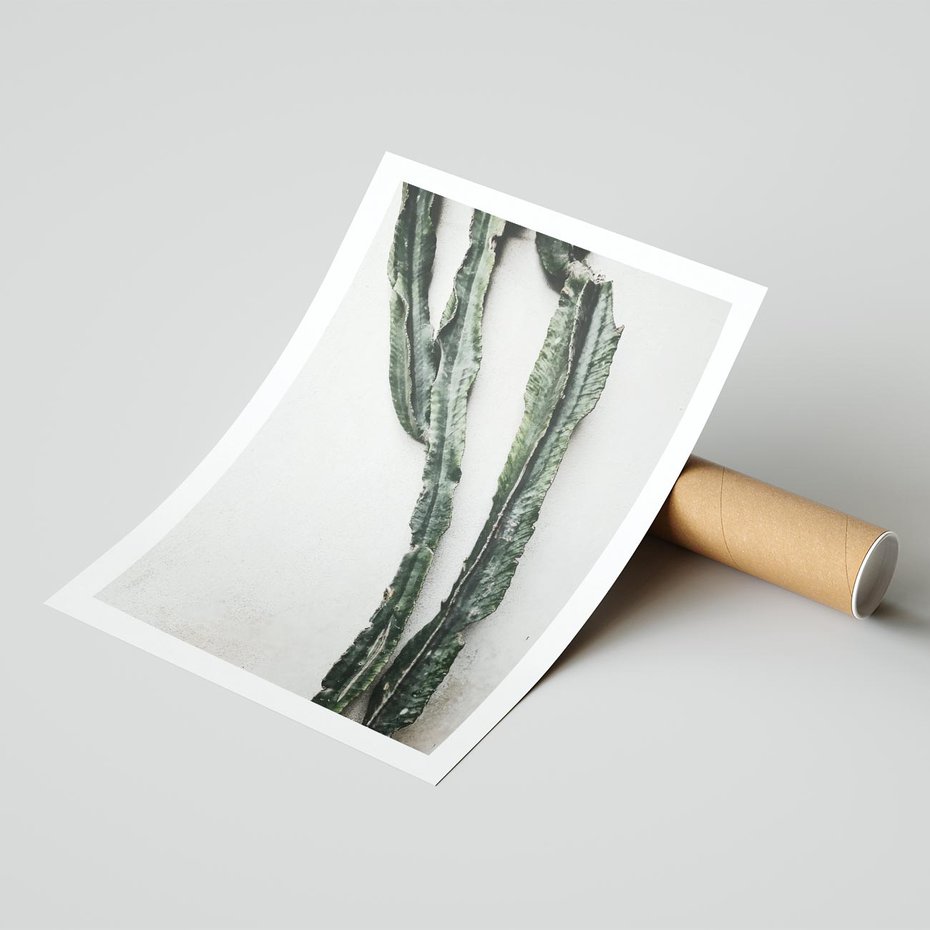 Plakat bez ramy 21x30 - Zielona Roślina z Liśćmi - zielona roślina, liście