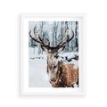 Plakat w ramie 40x50 - Jeleń na Zdjęciu pod Śniegiem - jeleń, zima - rama biała