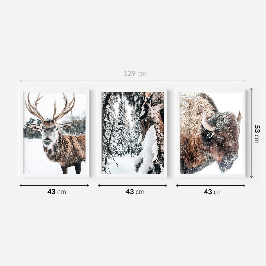 Zestaw obrazy w ramie 40x50 galeria - Jeleń, bizon, zima, retro - rama biała