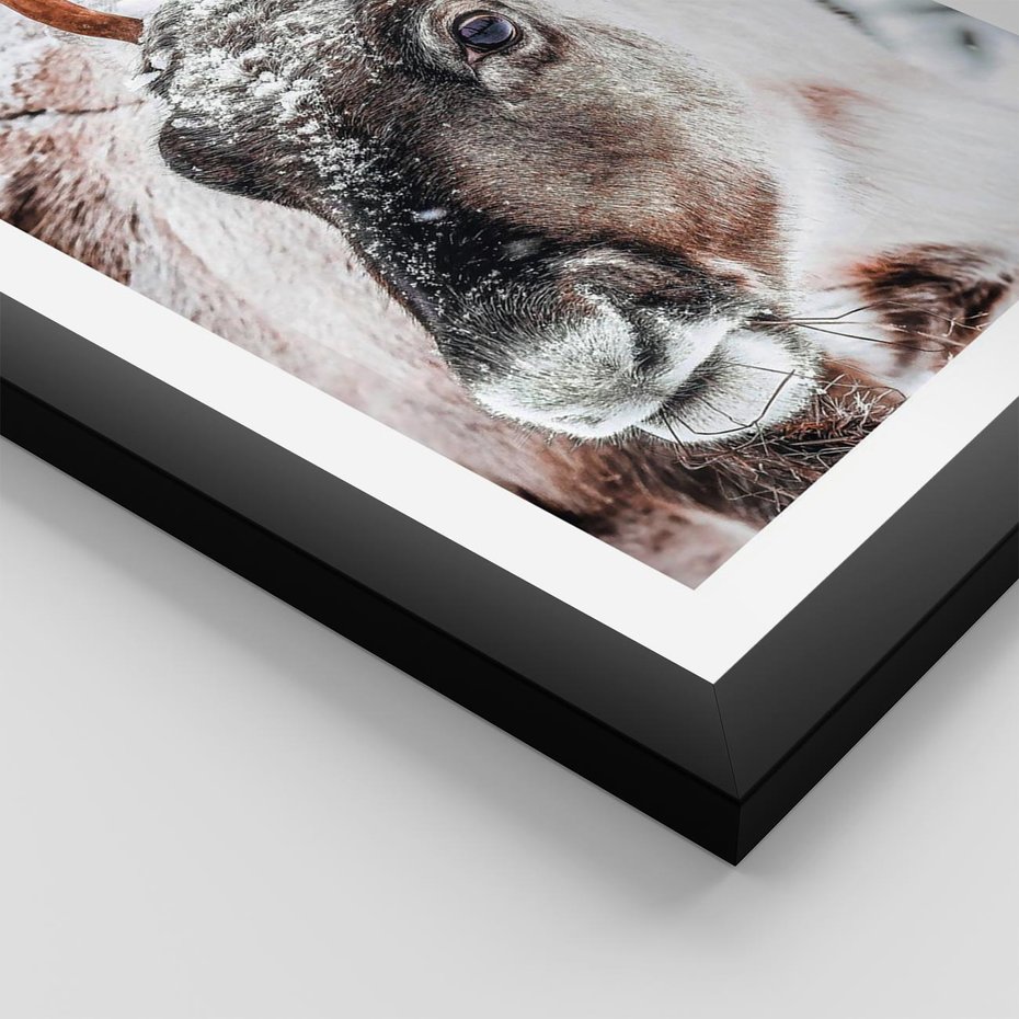 Plakat w ramie 30x40 - Renifer w Zimowej Krainie - renifer, zima - rama czarna