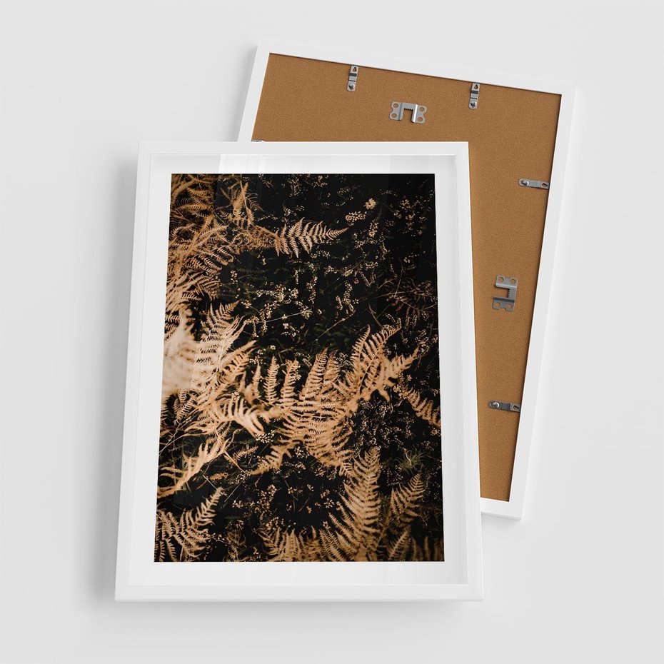 Plakat w ramie 50x70 - Jesienne Paprocie: Kolorowa Paleta Natury - paprocie, jesień - rama biała