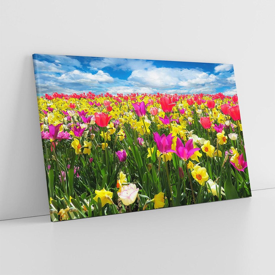 Obraz na płótnie 120x80 - tulipany na łące - kwiaty, tulipany