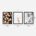 Zestaw obrazy w ramie 30x40 galeria - Kwiaty, wino, pościel, kobiece - rama czarna