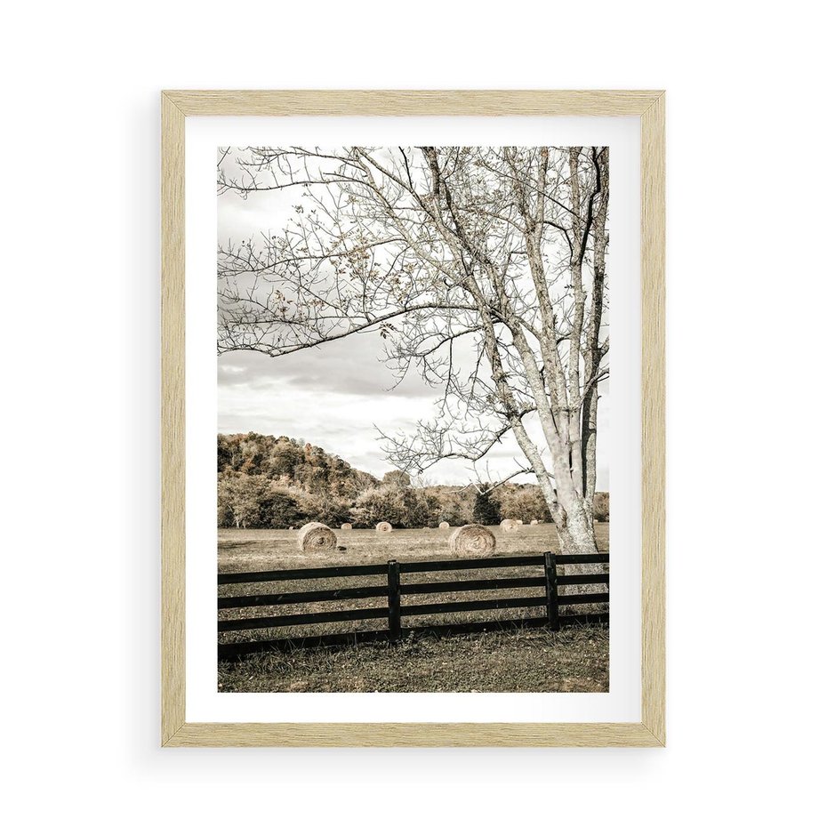 Plakat w ramie 50x70 - Drzewa i Snopki Siana - farma, drzewa - rama drewno