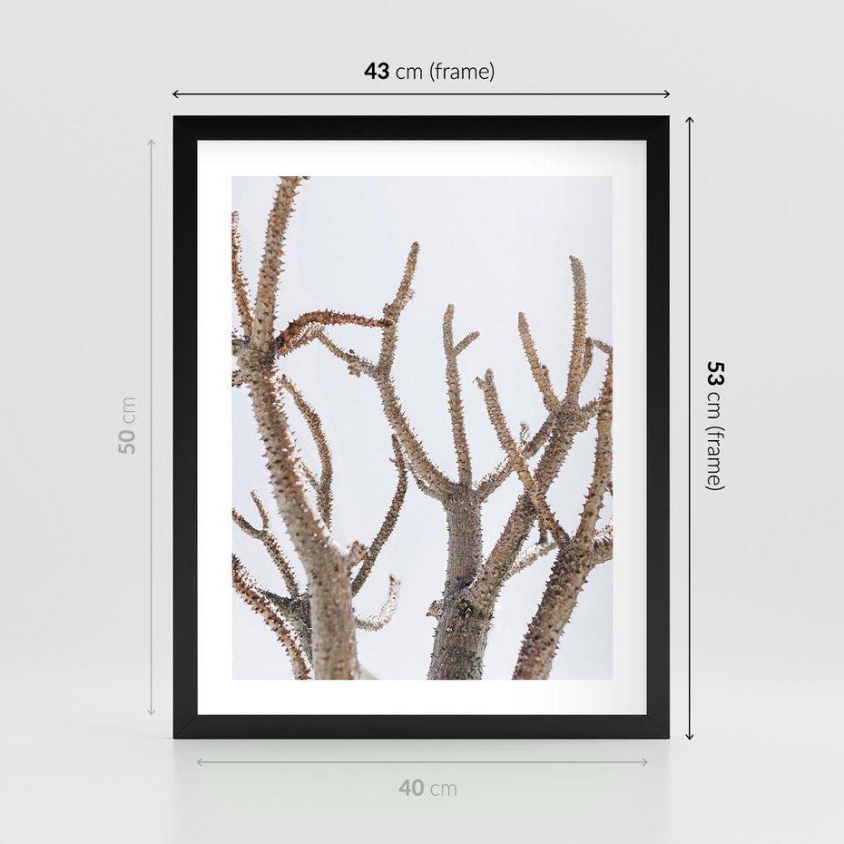 Plakat w ramie 40x50 - Pustynna Harmonia Gałęzi - pustynna roślina, suche gałęzie - rama czarna
