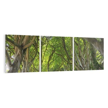 Obraz na płótnie 90x30 - Magiczny Las - drzewa, las