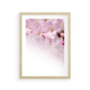 Plakat w ramie 50x70 - Kwitnąca Wiśnia - kwiaty, kwitnącej - rama drewno