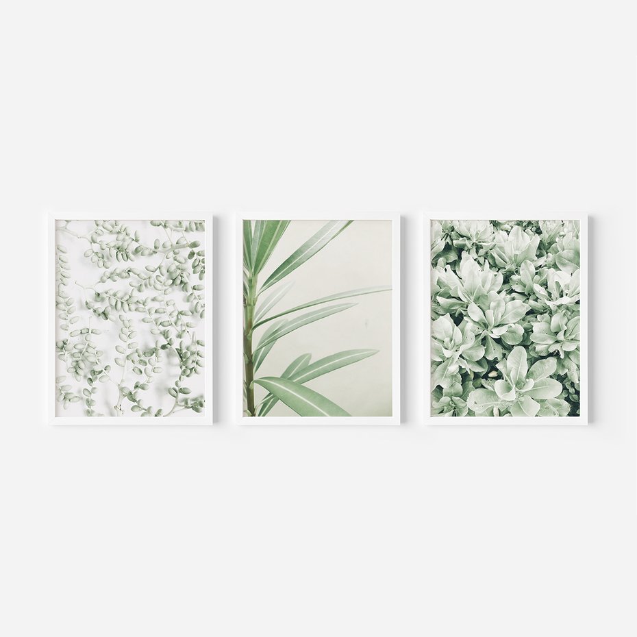 Zestaw obrazy w ramie 30x40 galeria - Liście, zieleń, minimalizm - rama biała