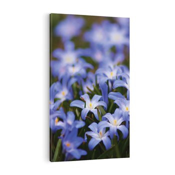 Obraz na płótnie 50x70 - Kwiatowy raj w naturze - kwiat, kwiaty