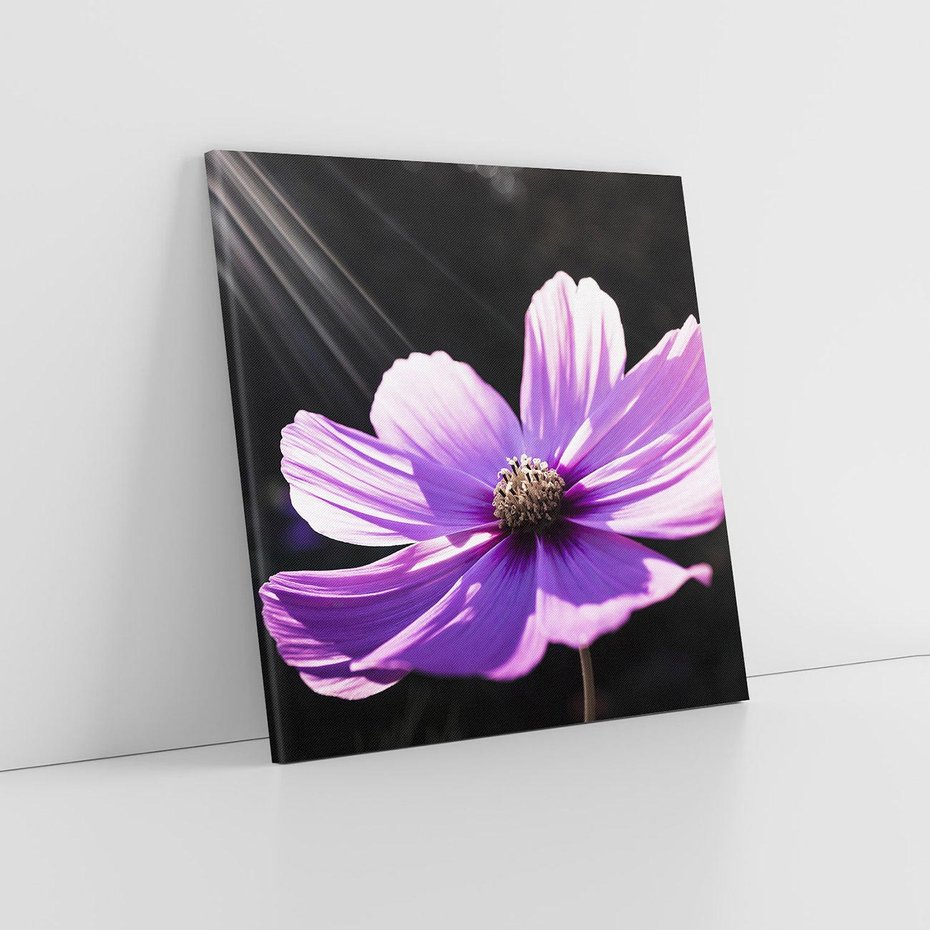 Obraz na płótnie 70x70 - Kwiatowy taniec natury - kwiat, kwiaty