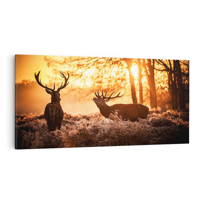 Obraz na płótnie 100x50 - Jeleń w lesie: Spotkanie w dziczy - jeleń, jelenie