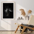 Plakat w ramie 40x50 - Delikatność Wiatru - dmuchawce, makro - rama drewno