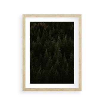 Plakat w ramie 30x40 - Ciemny las iglasty - las, iglasty - rama drewno