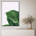 Obraz w ramie 70x100 - Zielone liście monstery - liście, monstera - rama czarna