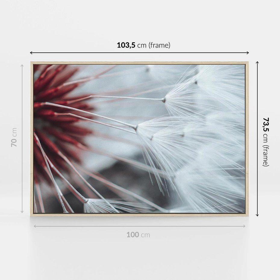 Obraz w ramie 100x70 - Makro świat dmuchawca - dmuchawiec, makro - rama drewno