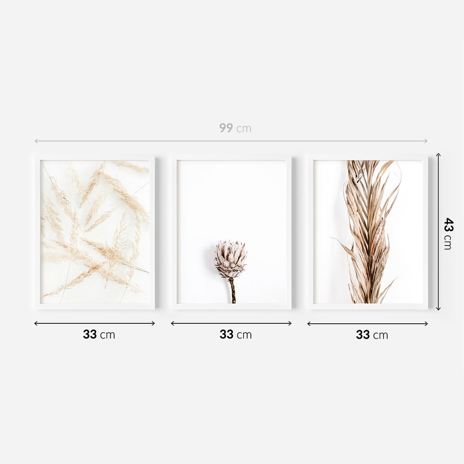 Zestaw obrazy w ramie 30x40 galeria - Boho, trawy, suche - rama biała