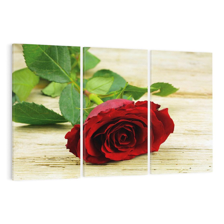 Obraz na płótnie 120x80 - delikatność kwiatu - róża, kwiat