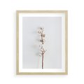 Plakat w ramie 40x50 - Minimalistyczna Gałązka Bawełny - bawełna, gałązka bawełny - rama drewno