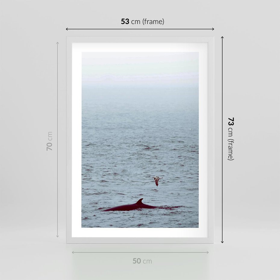 Plakat w ramie 50x70 - Spotkanie z Orką - morze, ocean - rama biała