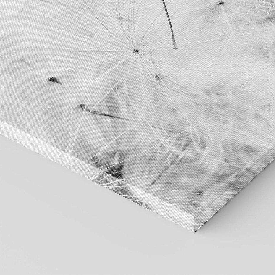 Obraz na płótnie 30x30 - Zdmuchnięty Puch - dmuchawce, delikatne