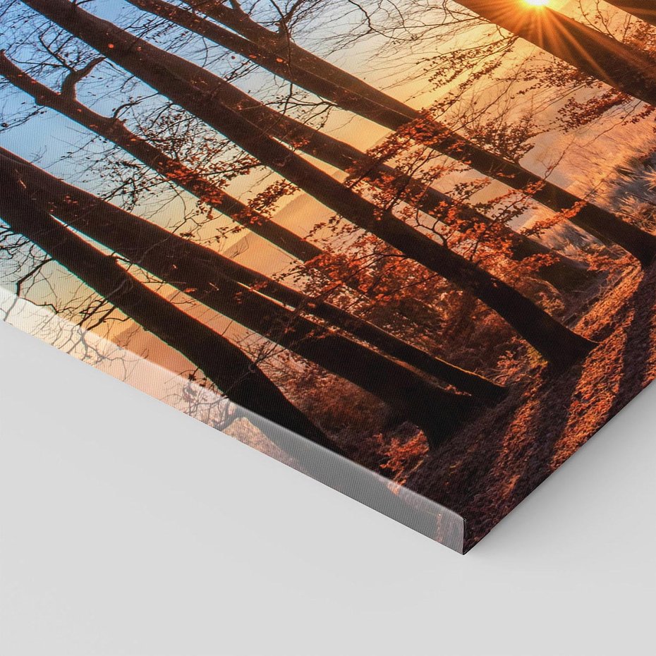 Obraz na płótnie 100x70 - Zachód słońca w jesiennym lesie - zachód słońca,