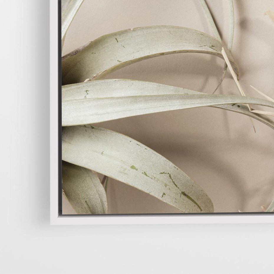 Obraz w ramie 50x50 - Boho urok suchych liści - suche, liście - rama biała