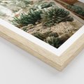 Plakat w ramie 30x40 - Sukulenty w Szklarni - sukulenty, w szklarni - rama drewno