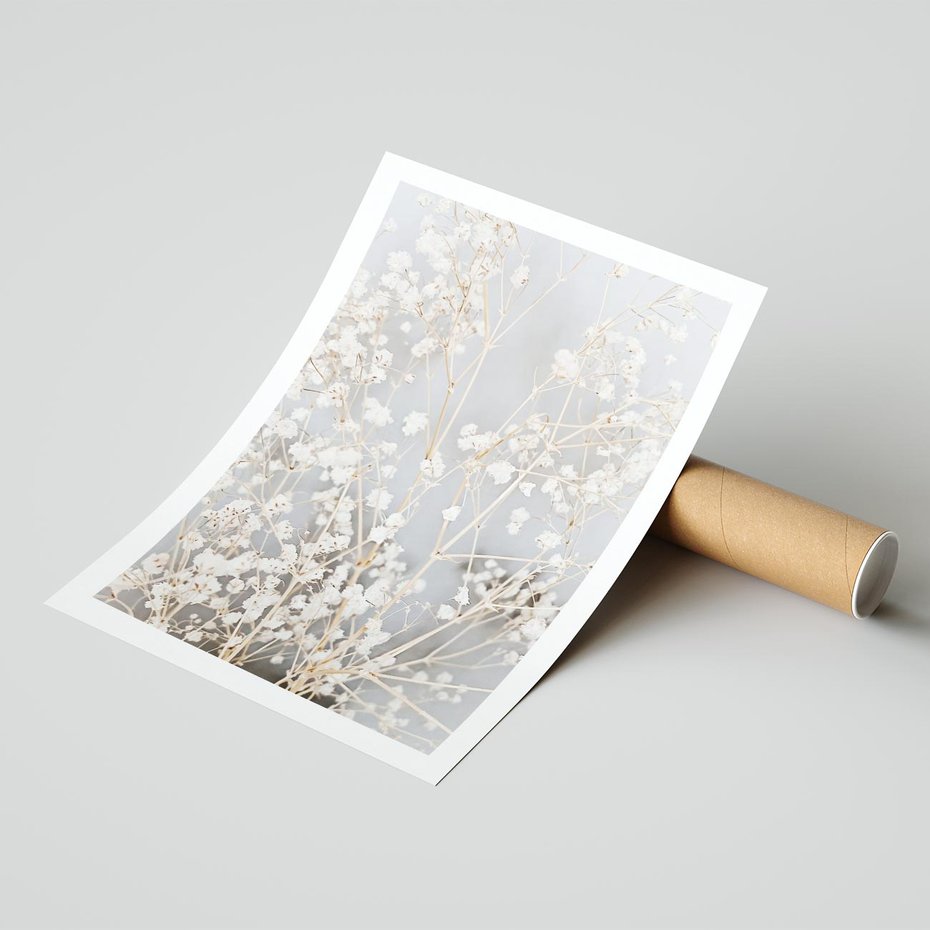 Plakat bez ramy 50x70 - Białe Drobne Kwiaty - gipsówka, białe drobne kwiatki