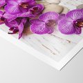 Plakat bez ramy 50x70 - Relaksujące spa w otoczeniu orchidei - spa, świece