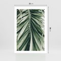Plakat bez ramy 21x30 - Spokojna Piękność Palmowych Liści - palma, liście palmy