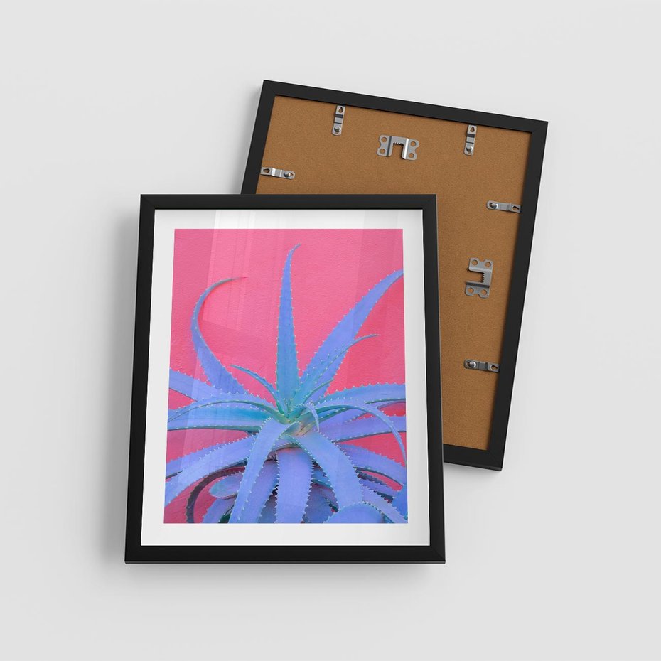 Plakat w ramie 40x50 - Piękno Pustyni - kaktusy, liście - rama czarna