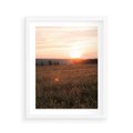 Plakat w ramie 40x50 - Łąka we Wschodzącym Słońcu: Magia Poranka - łąka, krajobraz - rama biała