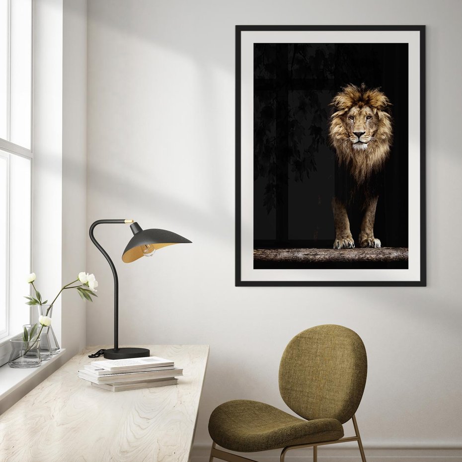 Plakat bez ramy 30x40 - Lew: dzikie piękno natury - lew, dzikie